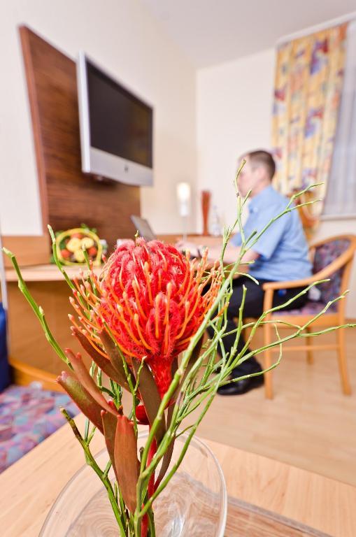 Serviced Apartments Kurpfalzhof Oftersheim Quarto foto